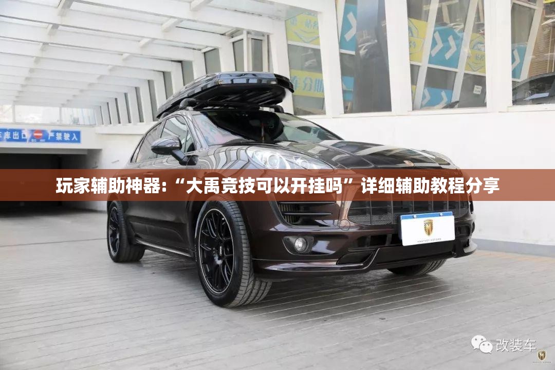 玩家辅助神器:“大禹竞技可以开挂吗	”详细辅助教程分享