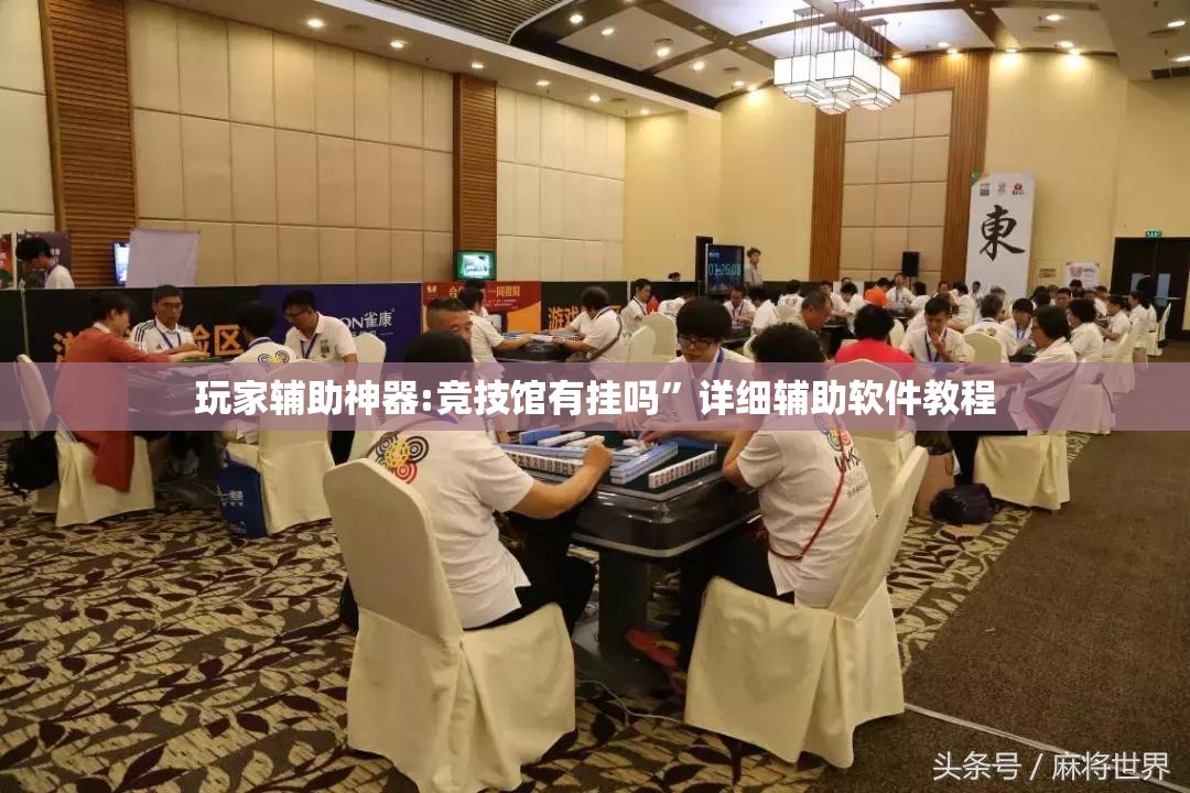 玩家辅助神器:竞技馆有挂吗”详细辅助软件教程