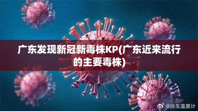 广东发现新冠新毒株KP(广东近来流行的主要毒株) 广东发现新冠新毒株KP(广东近来流行的主要毒株)