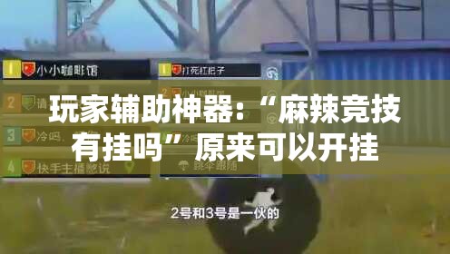 玩家辅助神器:“麻辣竞技有挂吗”原来可以开挂