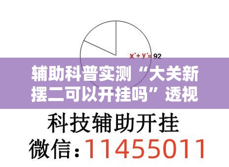 辅助科普实测“大关新摆二可以开挂吗”透视开挂辅助教程
