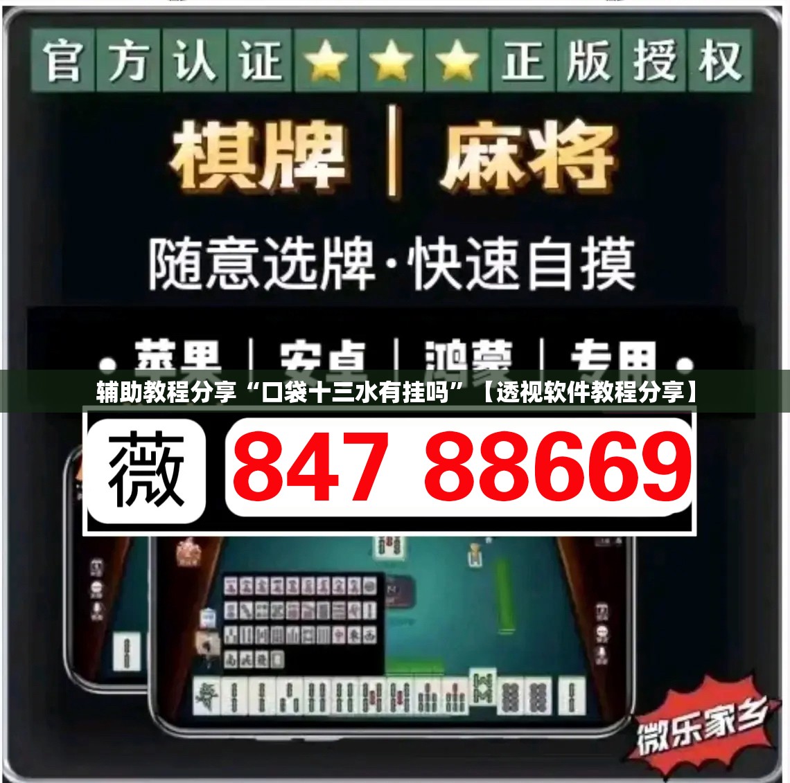 辅助教程分享“口袋十三水有挂吗”【透视软件教程分享】