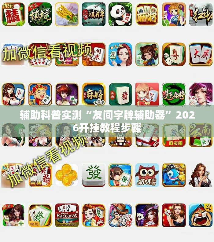 辅助科普实测“友间字牌辅助器”2026开挂教程步骤