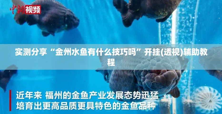 实测分享“金州水鱼有什么技巧吗”开挂(透视)辅助教程