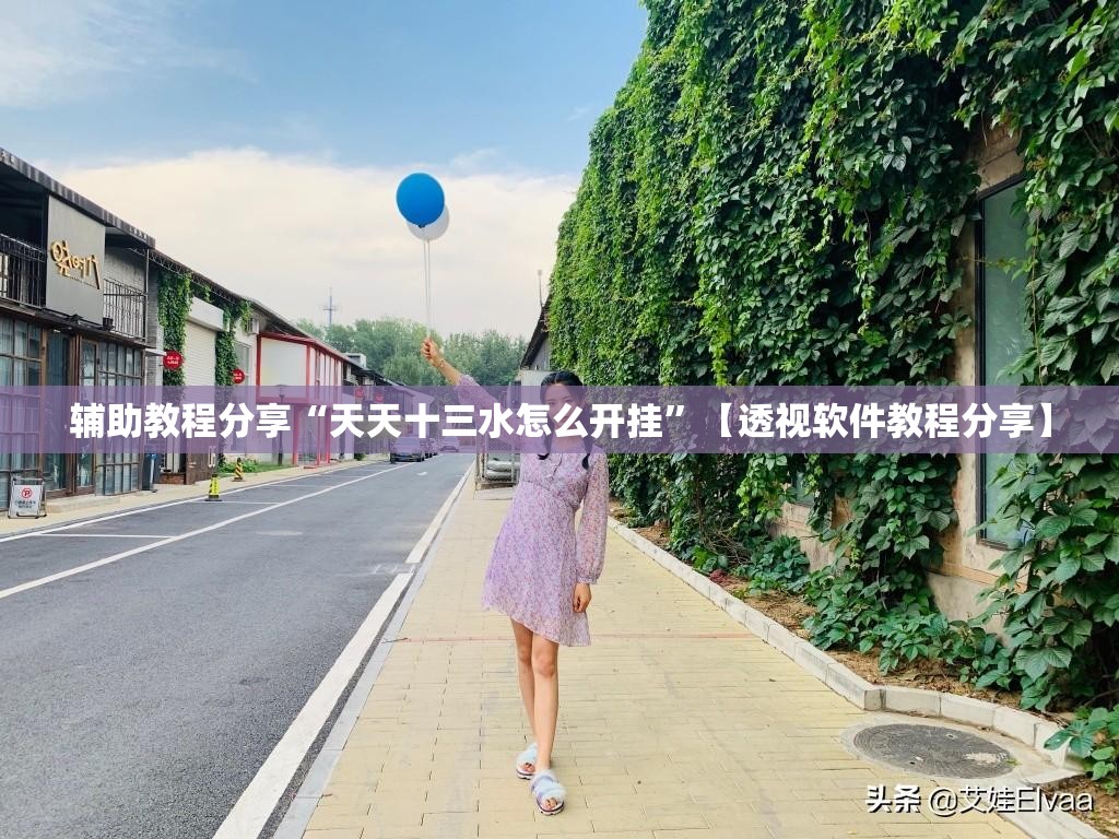 辅助教程分享“天天十三水怎么开挂”【透视软件教程分享】