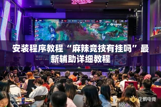 安装程序教程“麻辣竞技有挂吗	”最新辅助详细教程