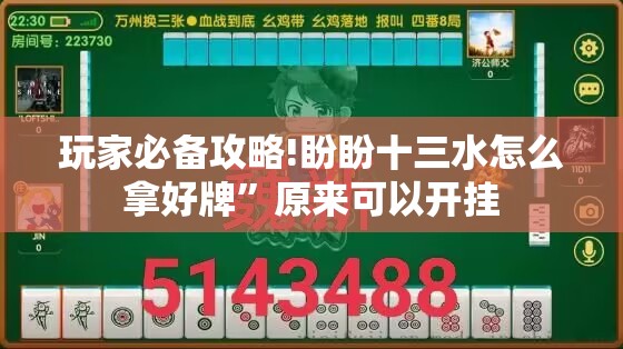 玩家必备攻略!盼盼十三水怎么拿好牌	”原来可以开挂