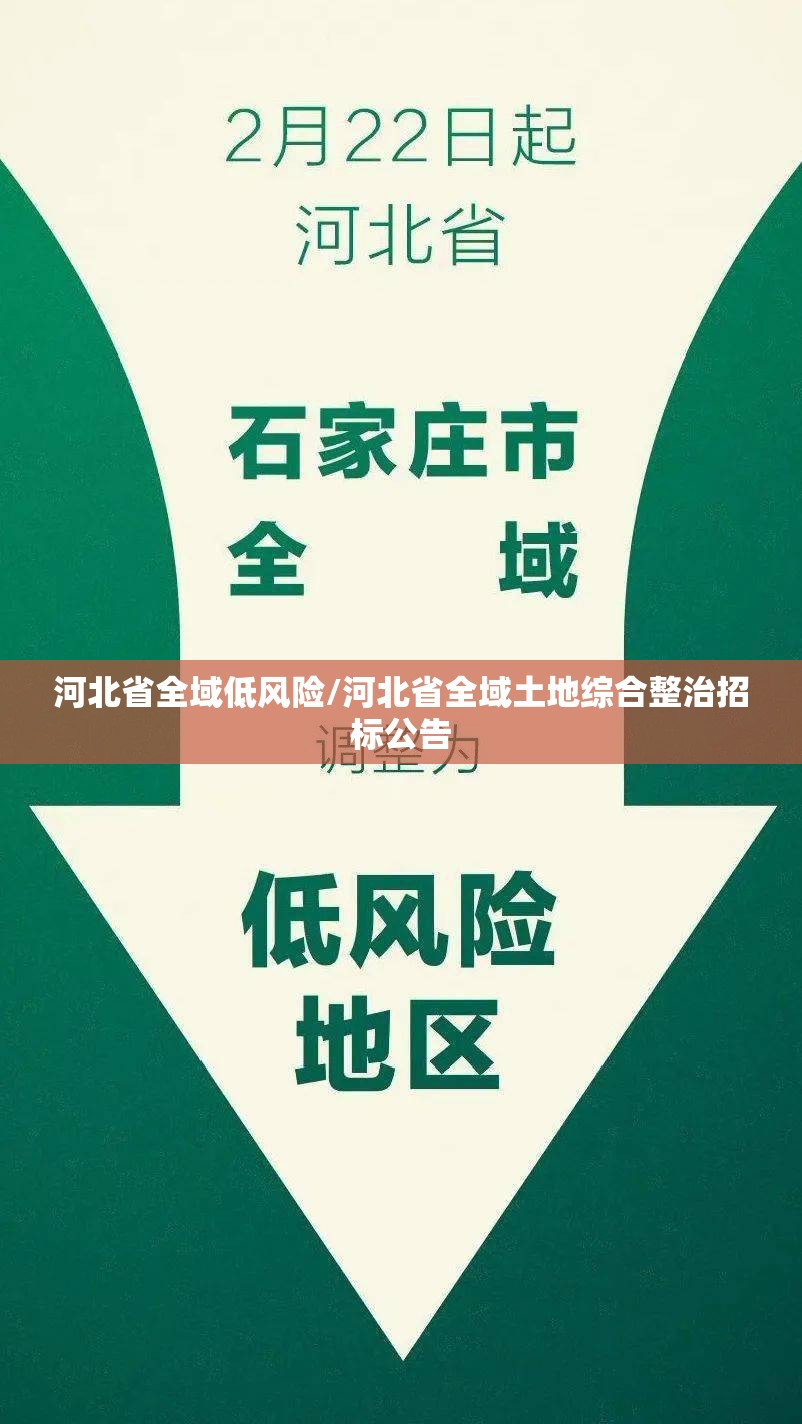 河北省全域低风险/河北省全域土地综合整治招标公告 河北省全域低风险/河北省全域土地综合整治招标公告