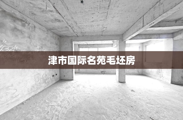 【津市世界名苑毛坯房,津市新天地二手房】 【津市世界名苑毛坯房,津市新天地二手房】
