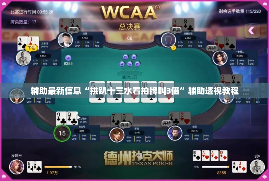 辅助最新信息“拱趴十三水看拍牌叫3倍”辅助透视教程