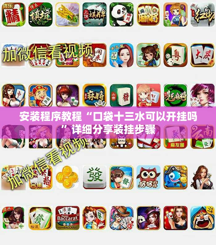 安装程序教程“口袋十三水可以开挂吗	”详细分享装挂步骤
