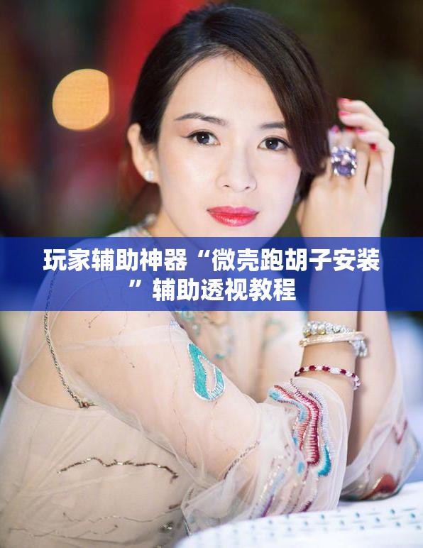 玩家辅助神器“微壳跑胡子安装	”辅助透视教程