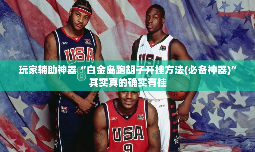 玩家辅助神器“白金岛跑胡子开挂方法(必备神器)”其实真的确实有挂