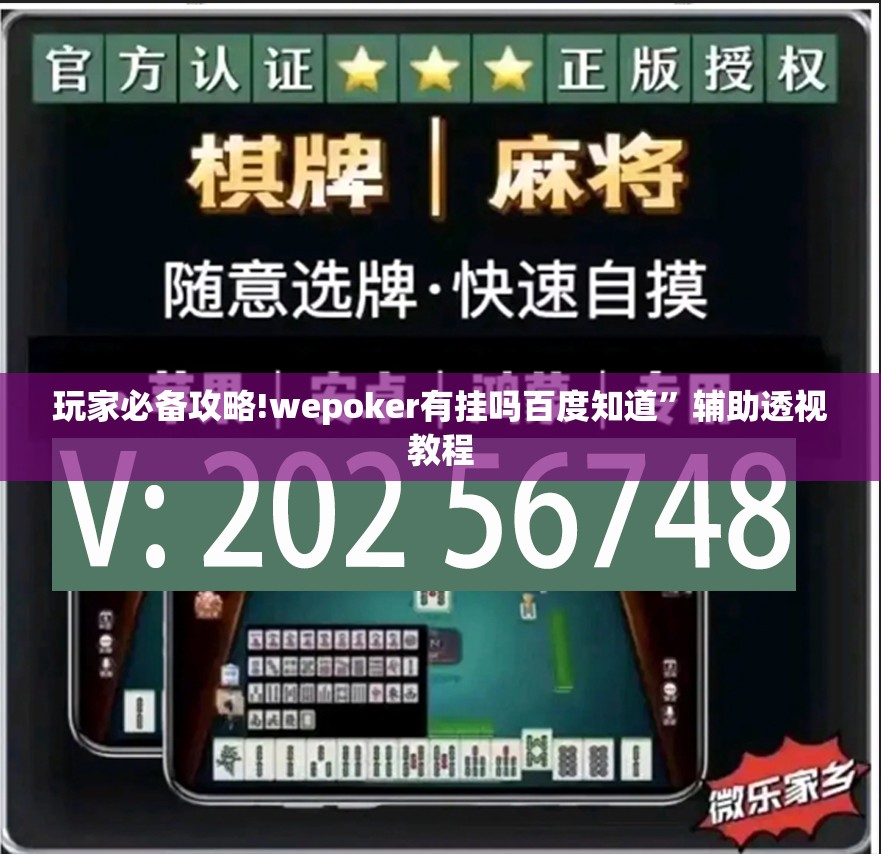 玩家必备攻略!wepoker有挂吗百度知道”辅助透视教程