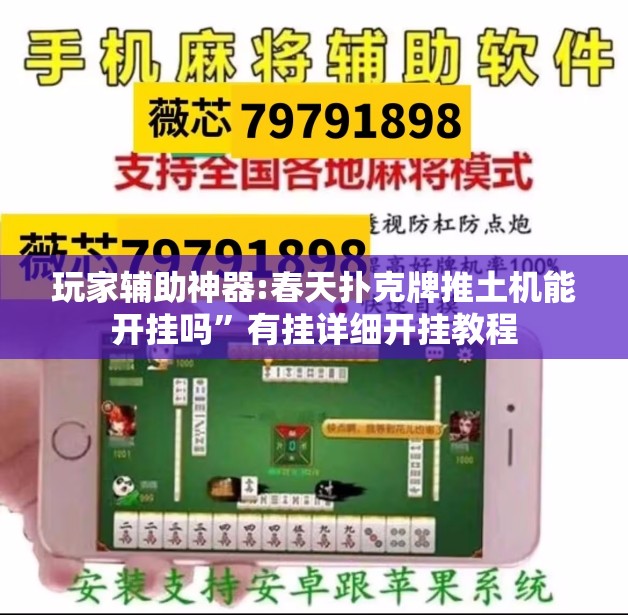 玩家辅助神器:春天扑克牌推土机能开挂吗”有挂详细开挂教程