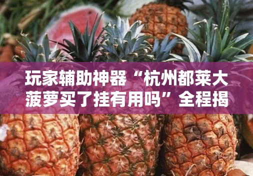玩家辅助神器“杭州都莱大菠萝买了挂有用吗”全程揭秘开挂教程