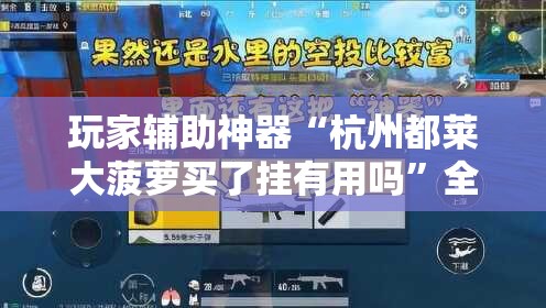 玩家辅助神器“杭州都莱大菠萝买了挂有用吗	”全程揭秘开挂教程