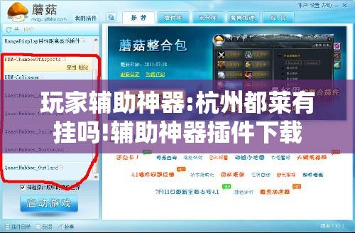 玩家辅助神器:杭州都莱有挂吗!辅助神器插件下载