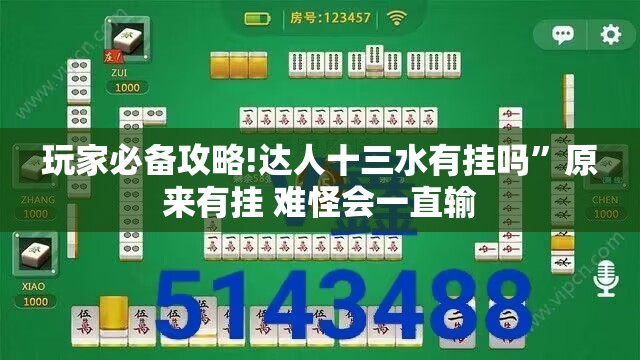 玩家必备攻略!达人十三水有挂吗	”原来有挂 难怪会一直输