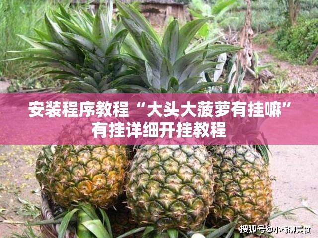 安装程序教程“大头大菠萝有挂嘛”有挂详细开挂教程