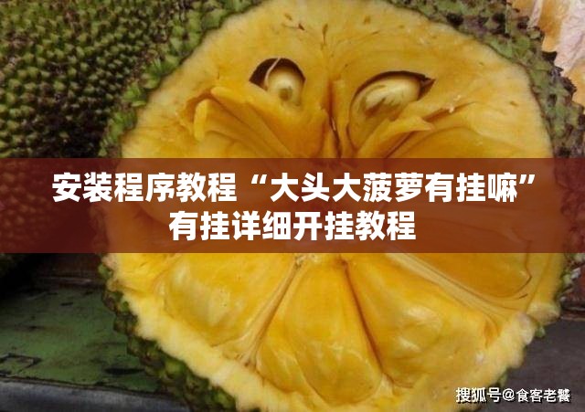 安装程序教程“大头大菠萝有挂嘛	”有挂详细开挂教程