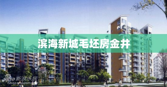【滨海新城毛坯房金井,晋江金井滨海新城会有项目建设吗】 【滨海新城毛坯房金井,晋江金井滨海新城会有项目建设吗】