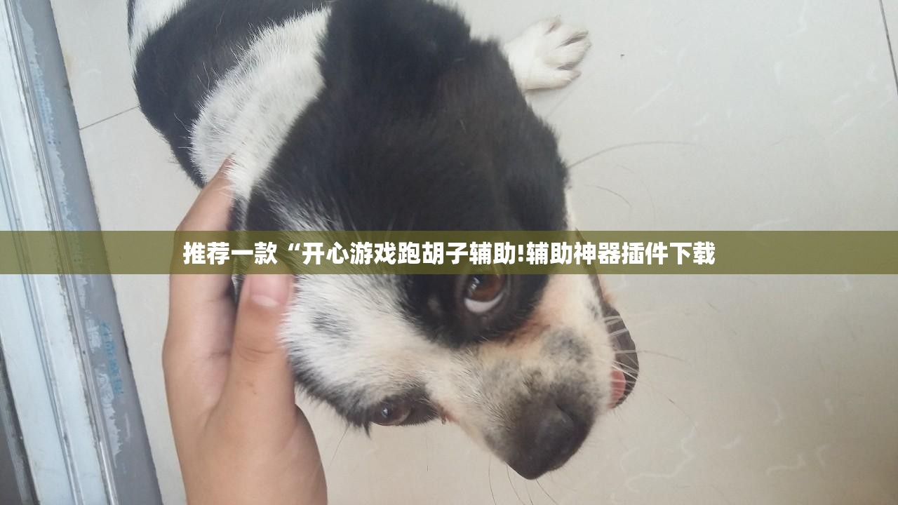 推荐一款“开心游戏跑胡子辅助!辅助神器插件下载