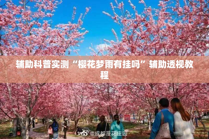 辅助科普实测“樱花梦雨有挂吗”辅助透视教程