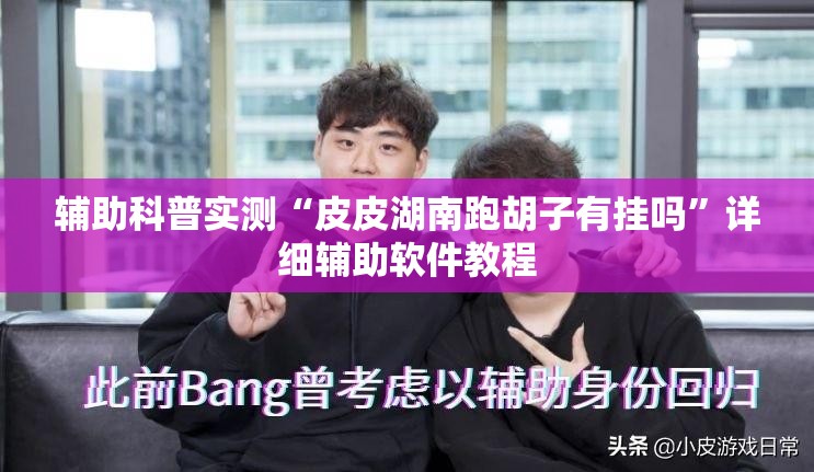 辅助科普实测“皮皮湖南跑胡子有挂吗”详细辅助软件教程
