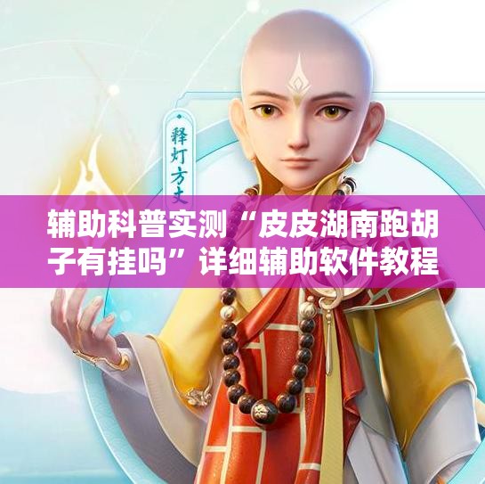 辅助科普实测“皮皮湖南跑胡子有挂吗”详细辅助软件教程