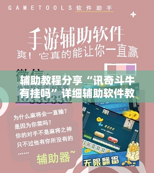 辅助教程分享“讯奇斗牛有挂吗”详细辅助软件教程