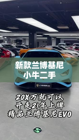 新款兰博基尼小牛二手(14年兰博基尼小牛二手)