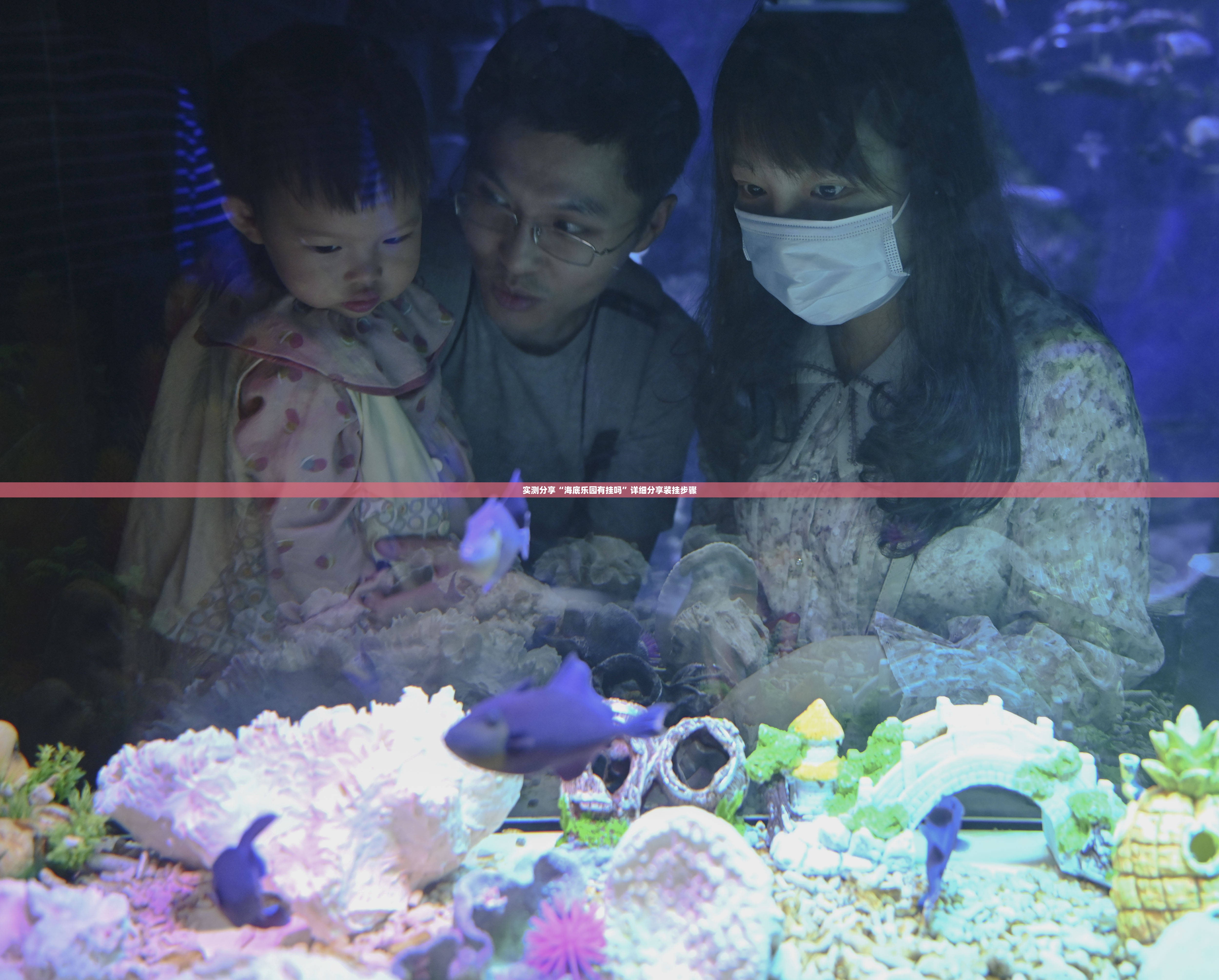 实测分享“海底乐园有挂吗	”详细分享装挂步骤