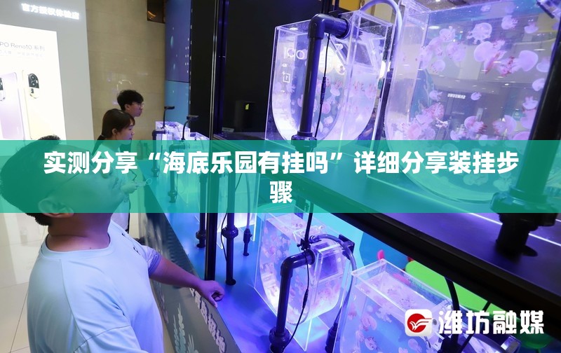 实测分享“海底乐园有挂吗	”详细分享装挂步骤