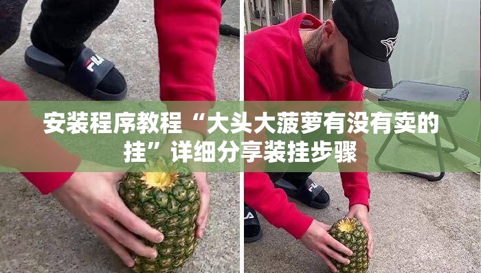 安装程序教程“大头大菠萝有没有卖的挂	”详细分享装挂步骤