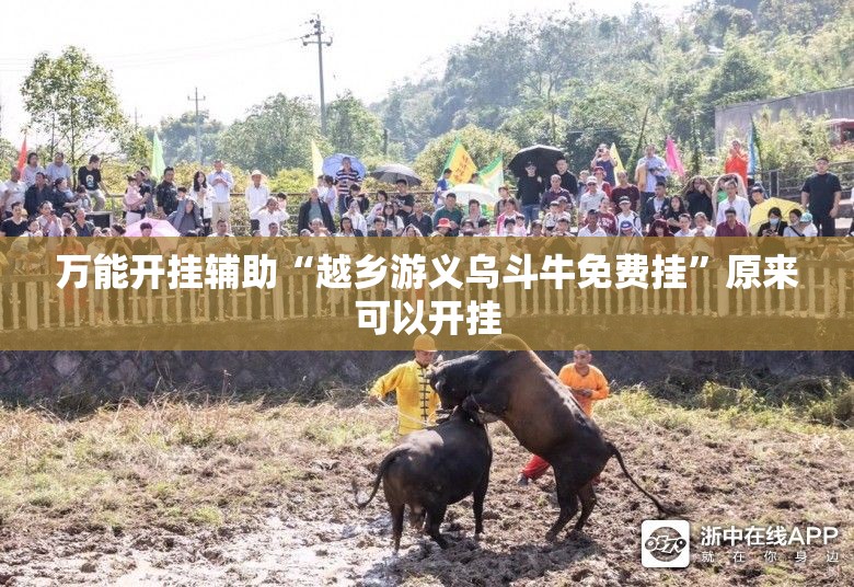 万能开挂辅助“越乡游义乌斗牛免费挂”原来可以开挂