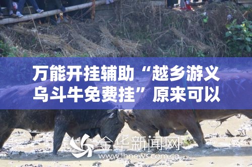 万能开挂辅助“越乡游义乌斗牛免费挂	”原来可以开挂