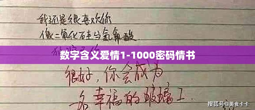 数字含义爱情1-1000密码情书