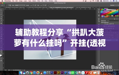 辅助教程分享“拱趴大菠萝有什么挂吗	”开挂(透视)辅助教程