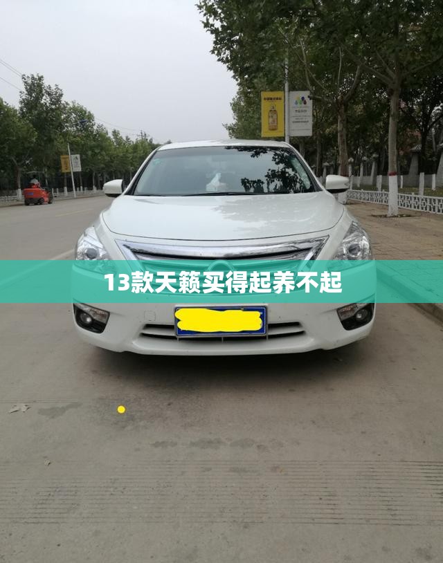 13款天籁买得起养不起 13款天籁买得起养不起