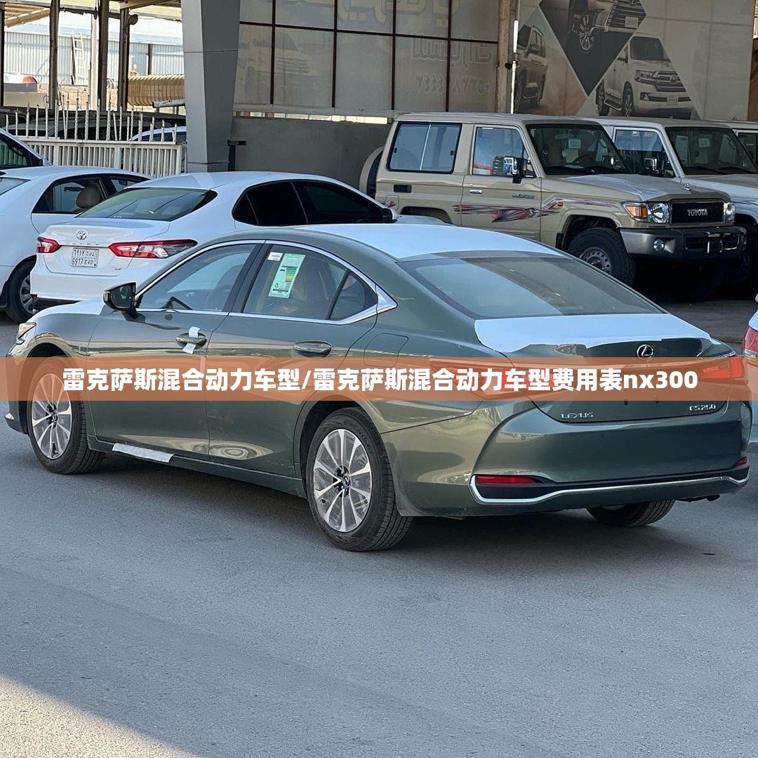雷克萨斯混合动力车型/雷克萨斯混合动力车型费用表nx300 雷克萨斯混合动力车型/雷克萨斯混合动力车型费用表nx300
