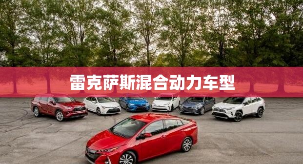 雷克萨斯混合动力车型/雷克萨斯混合动力车型费用表nx300 雷克萨斯混合动力车型/雷克萨斯混合动力车型费用表nx300
