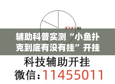 辅助科普实测“小鱼扑克到底有没有挂”开挂(透视)辅助教程