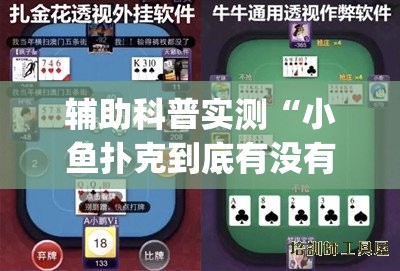 辅助科普实测“小鱼扑克到底有没有挂	”开挂(透视)辅助教程