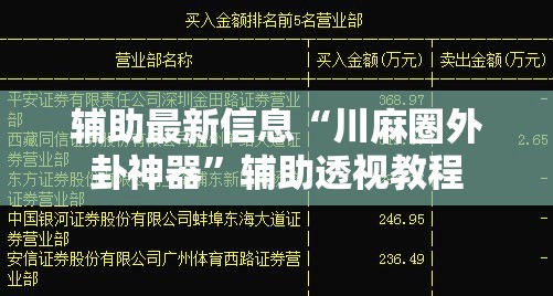 辅助最新信息“川麻圈外卦神器”辅助透视教程
