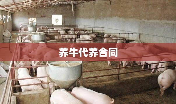 养牛代养合同