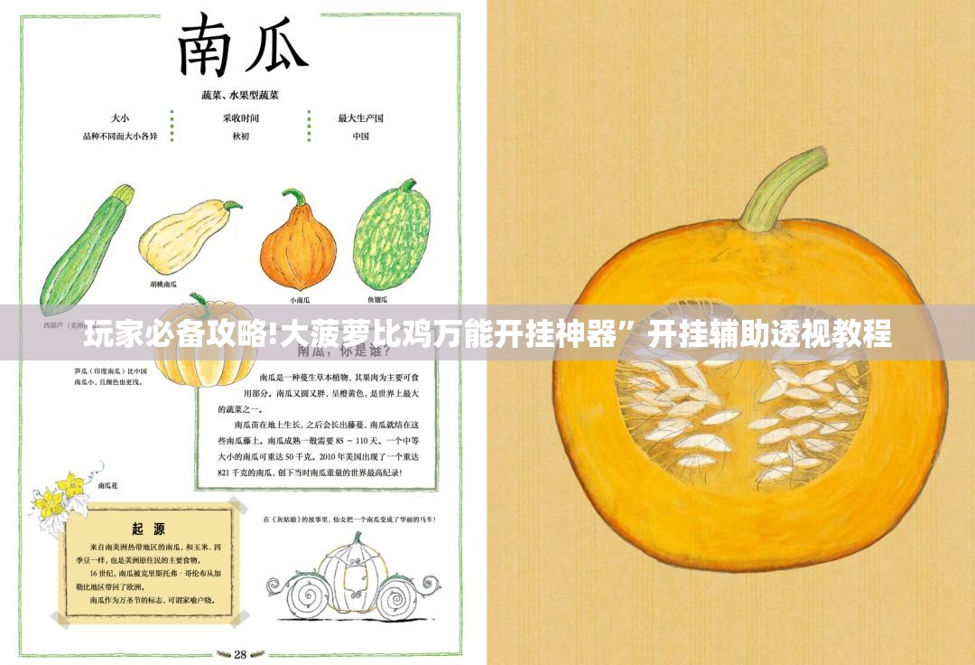 玩家必备攻略!大菠萝比鸡万能开挂神器”开挂辅助透视教程