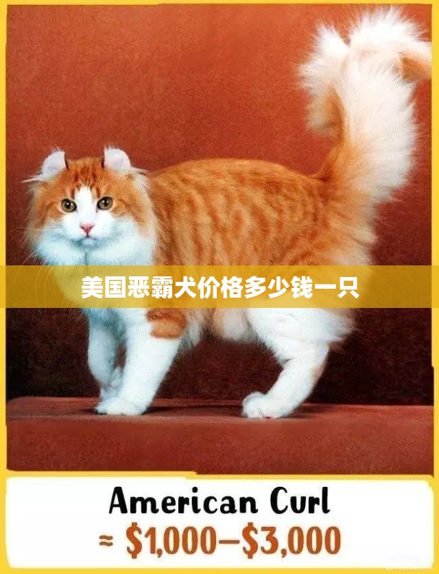 美国恶霸犬价格多少钱一只 美国恶霸犬价格多少钱一只