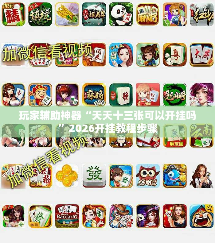 玩家辅助神器“天天十三张可以开挂吗”2026开挂教程步骤