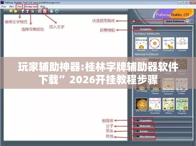 玩家辅助神器:桂林字牌辅助器软件下载”2026开挂教程步骤
